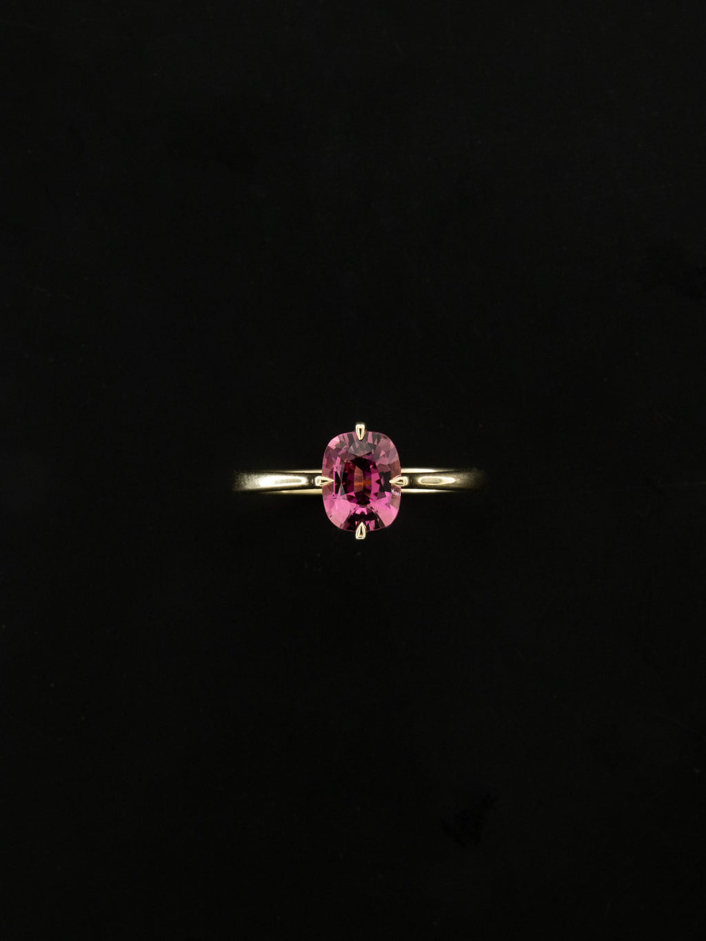 Griffe con Rubellite