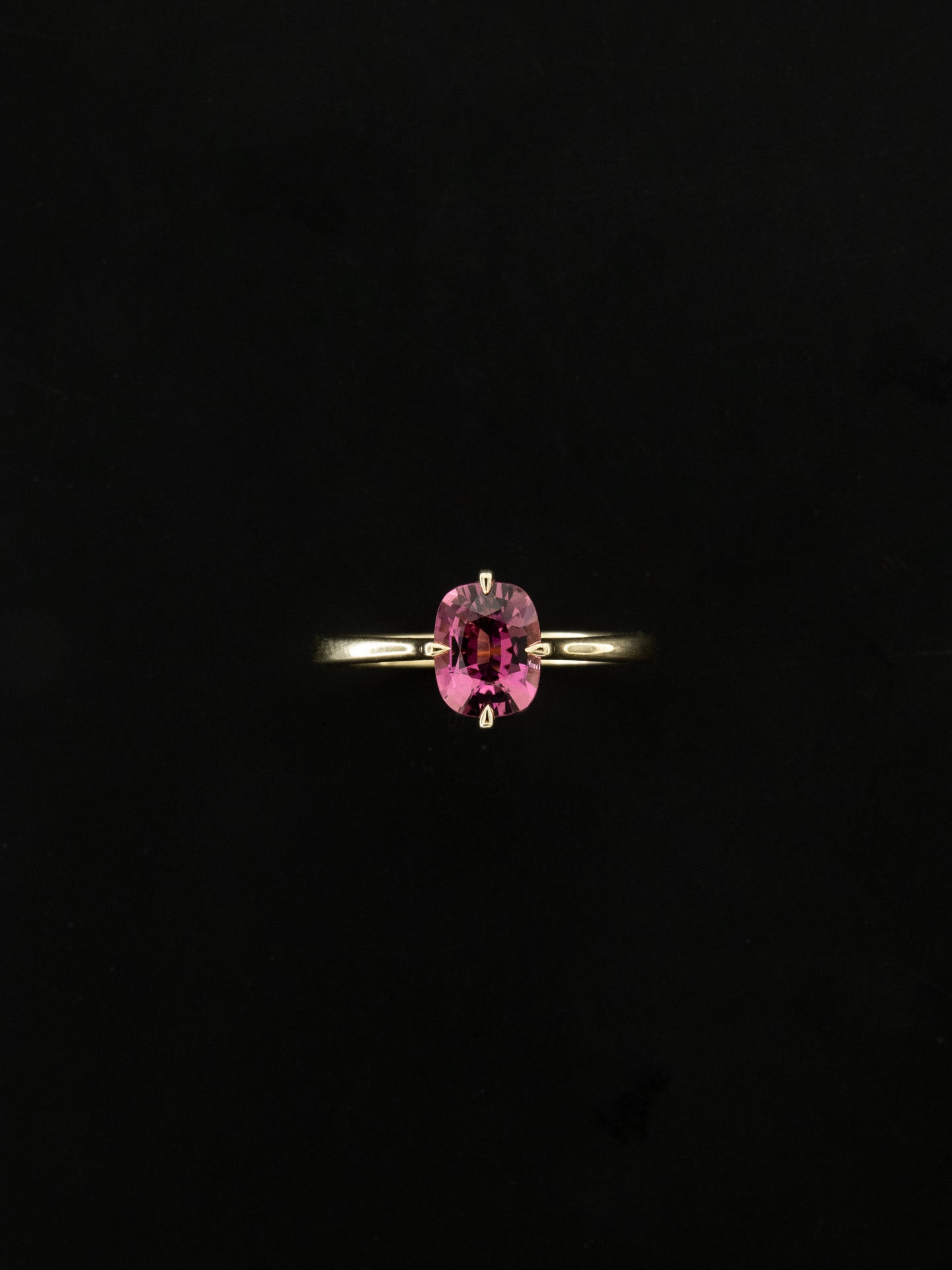 Griffe con Rubellite