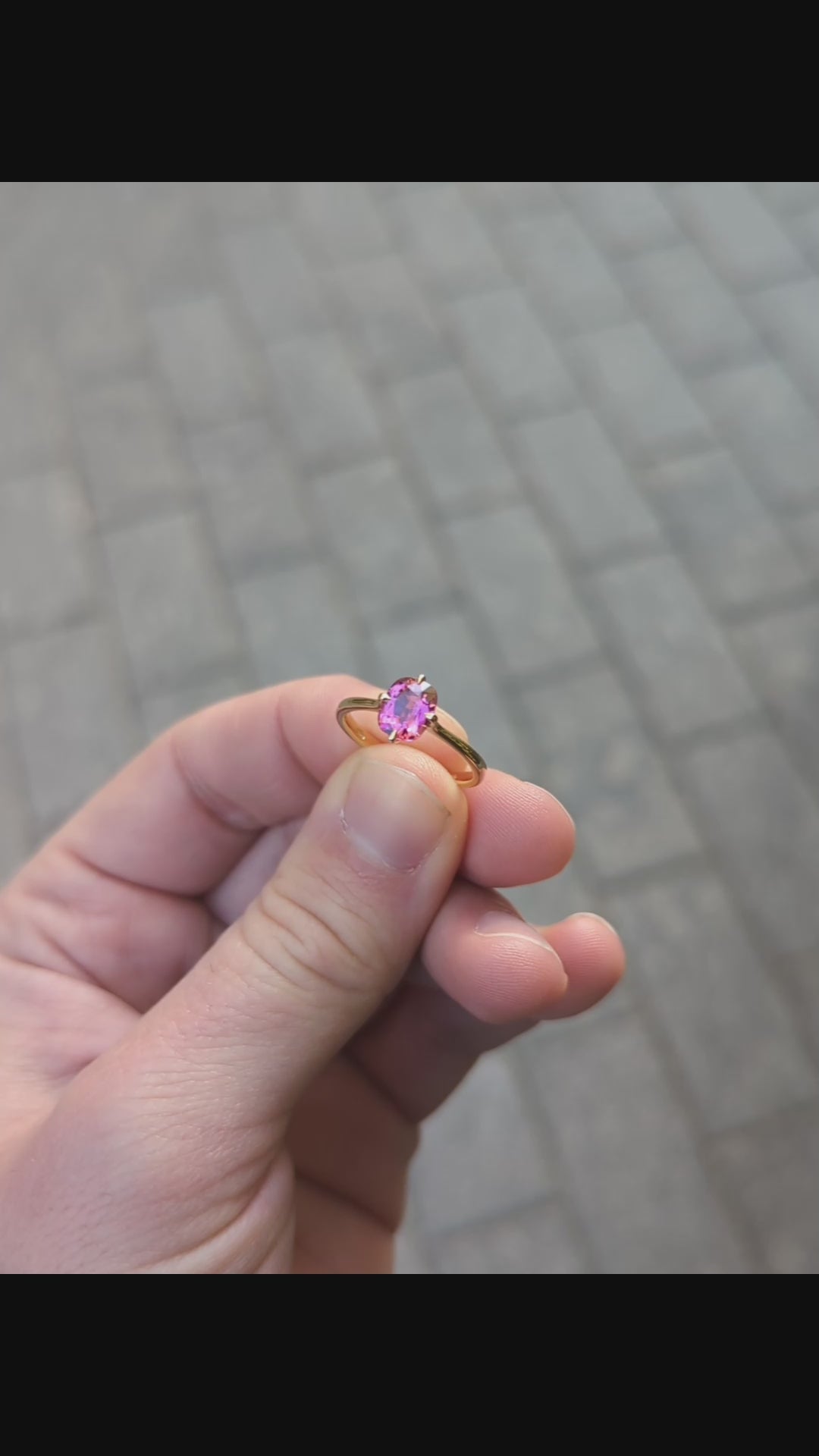 Griffe con Rubellite